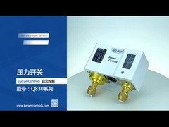 Interruptores de pressão ajustáveis duplos de aço inoxidável para a bomba de água