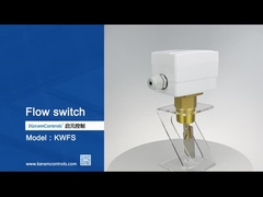 Interruptores de fluxo de medição de fluxo de líquido com elemento de detecção de remoção -20C-120C